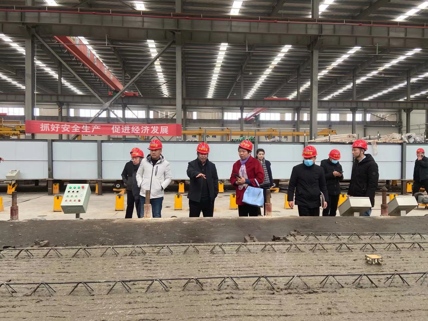 市住建局領導蒞臨我公司調研考察